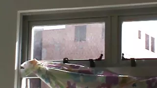 Deux filles se sont choyées avec de douces caresses et ont fait plaisir film sexe gratuite au mec avec une bonne pipe