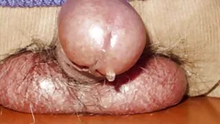 Des noirs excités baisent des femmes asiatiques dans des culs serrés, les déchirant film de sexe amateur gratuit avec de grosses bites