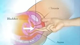 Maman ivre mature branle son fils et branle videos gratuites sexes la bite avec les mains avant le sexe vaginal