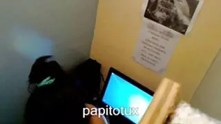 La fille est gay sex video gratuit venue pour un massage, mais ne s'attendait pas à ce que sa masseuse se révèle lesbienne