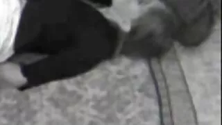 Femme au foyer baise dans la chatte video sex streaming gratuit avec un mec et obtient son sperme chaud dans la chatte